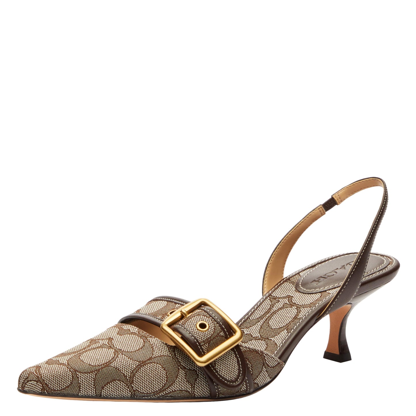 Elegant Pointed Toe Slingback Heels for Women