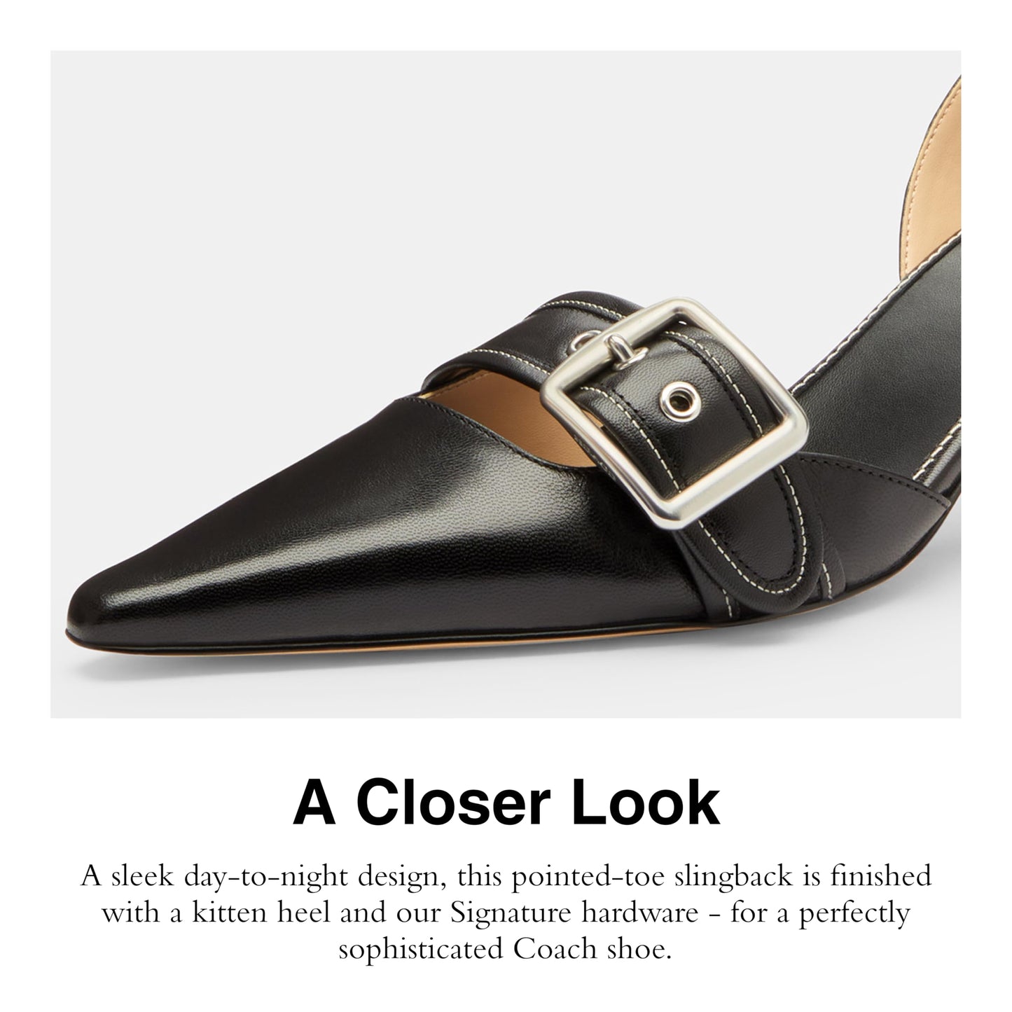 Elegant Pointed Toe Slingback Heels for Women